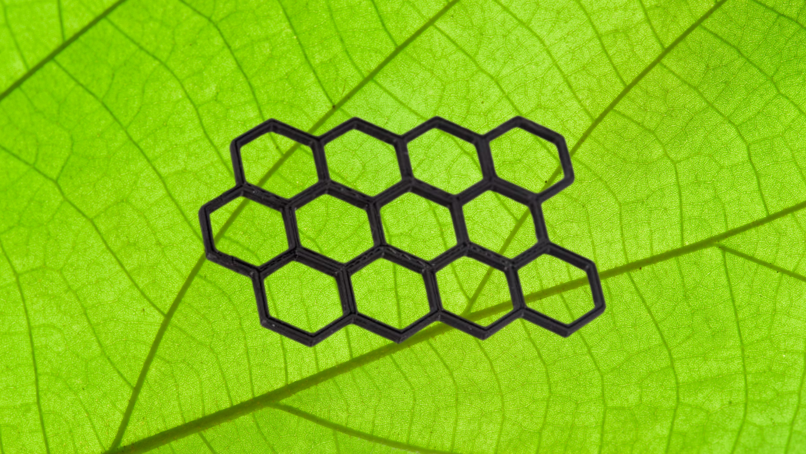 Biomimicry